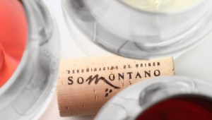 Vinos DO SOMONTANO
