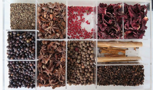 Species Candela y Romero