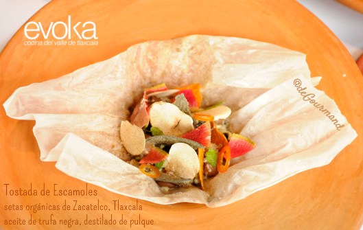 Evoka tostada de escamoles -4