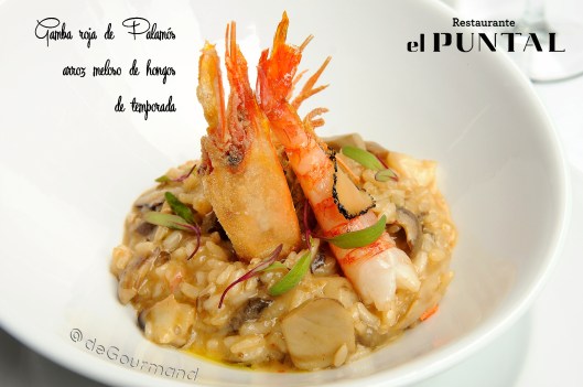 Arroz con gambas -10