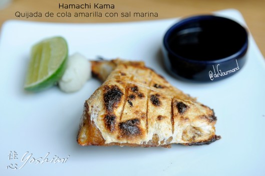 YOSHIMI CUELLO DE HAMACHI -4