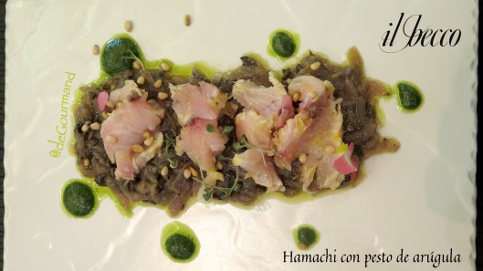Hamachi -2