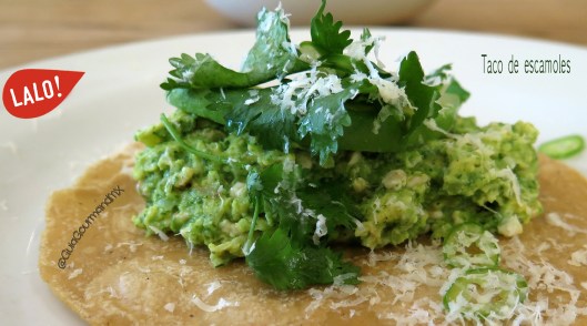 LALO Taco de escamoles -9