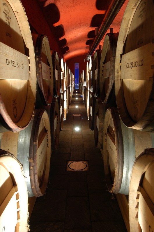 Ca_del_bosco_interno_06_alta