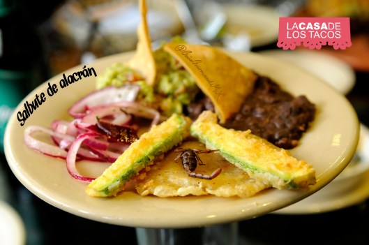 CASA DE LOS TACOS alacrán -3