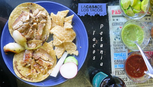 CASA DE LOS TACOS dos petunia -1