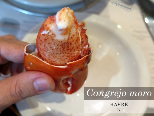 HABVRE 77 Moro -4.jpg