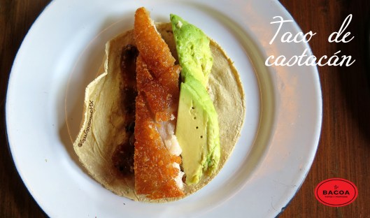 BACOA cerdito -1.jpg