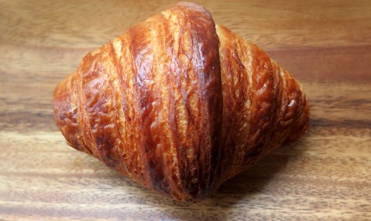 CUERNO BELLA RAFAELA.jpg