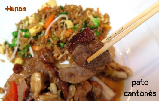 HUNAN pato cantones -1.jpg